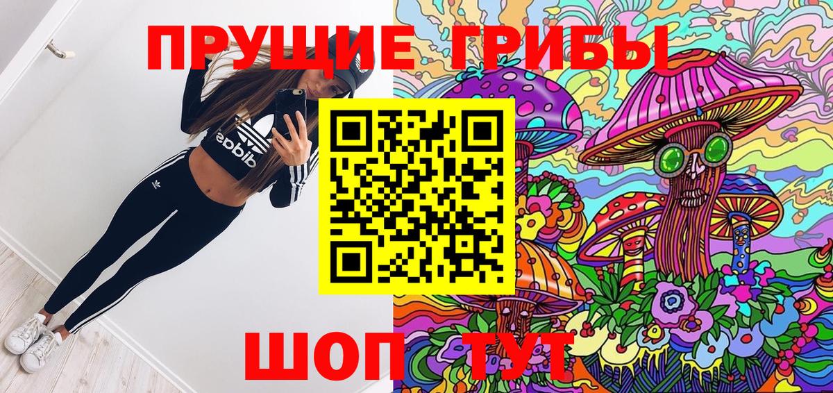 Галлюциногенные грибы Psilocybe Усинск